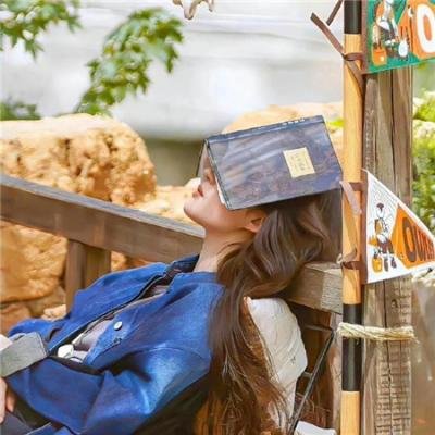 倾城女帝帅谋士